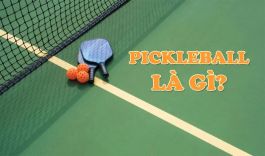 Pickleball là gì? Hiểu rõ về môn thể thao đang 'gây sốt' trong năm 2024