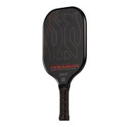 Vợt Pickleball ONIX Evoke Premier Pro Raw Carbon